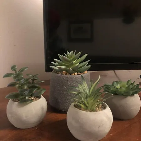 La Casa Della Sirena 圣埃乌费米亚阿马伊埃拉