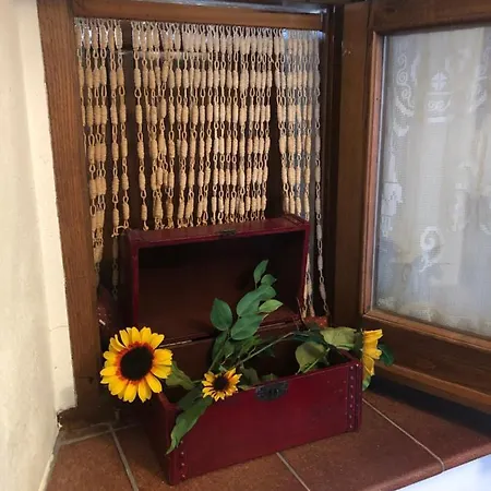 La Casa Della Sirena *