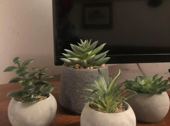 La Casa Della Sirena Sant'Eufemia a Maiella