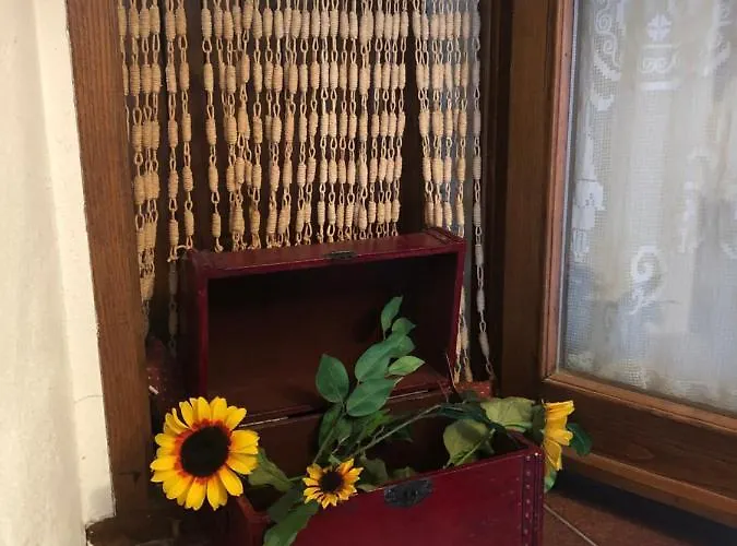 La Casa Della Sirena *